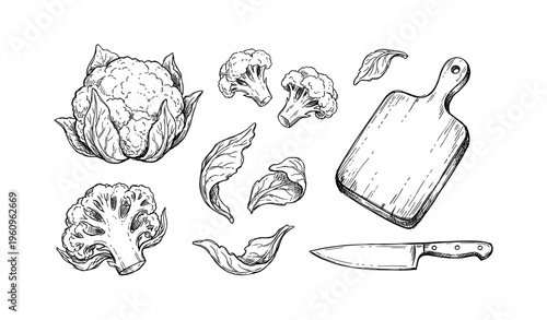 Hand-drawn cauliflower and kitchen tools sketch with cutting board and knife
