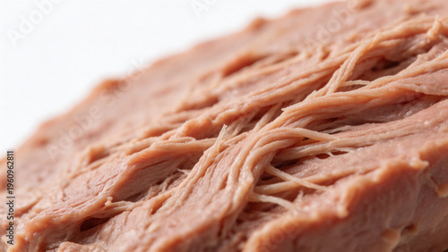 Plant Based Meat Raw Texture Macro