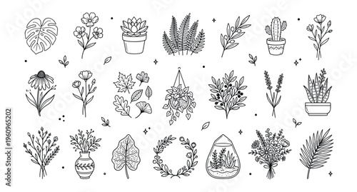 Botanical Line Art Collection: Hand Drawn Plants, Flowers, Leaves, Succulents, Cacti, Terrariums, Doodle Vector Icons.