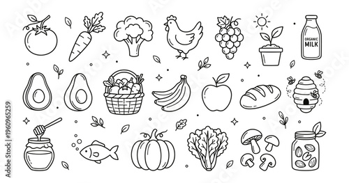 Healthy Food Line Art Icons Set. Organic Produce, Farm, Grocery, Diet, Hand Drawn Illustration.