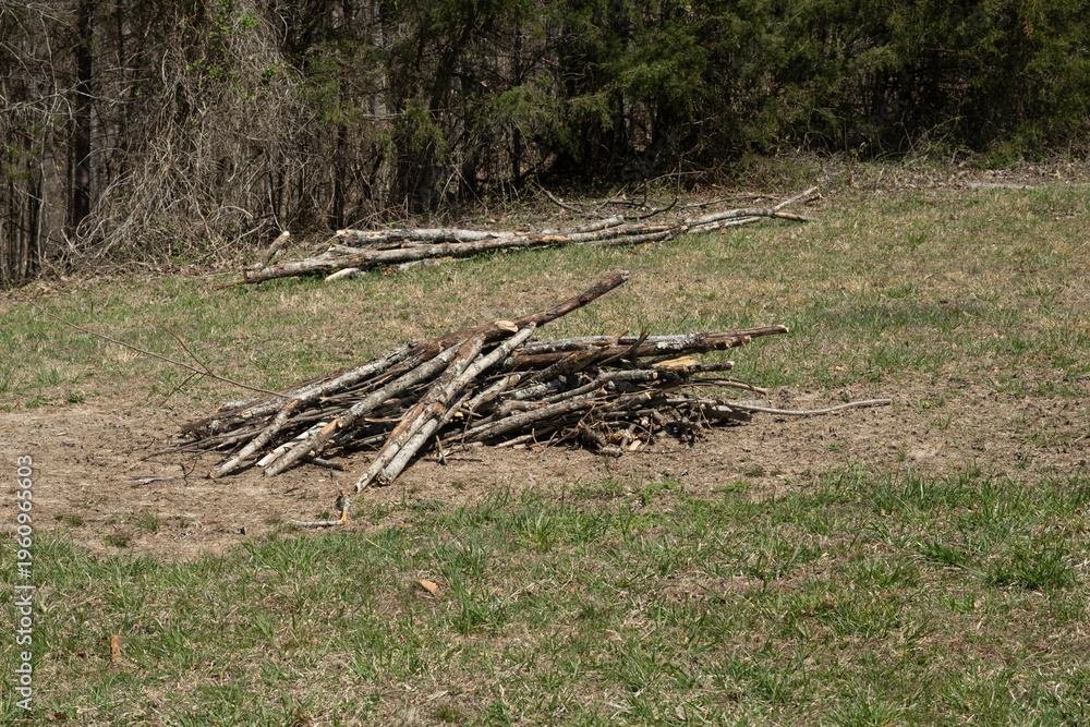 Fototapeta premium A brush pile near a wooded area in a grassy field.