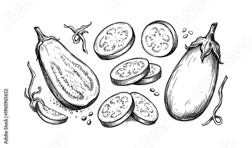 Hand-drawn eggplants and slices black and white ink illustration