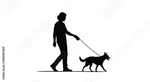 silhouette of man walking dog on leash