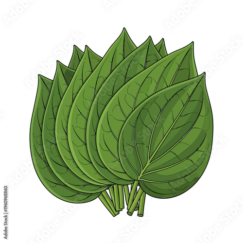 Betel Leaves A symbol for Sinhala and Tamil New Year, Sri Lankan culture, and Avurudu. Use for Kavili, Kiribath themes with Background Copy Space