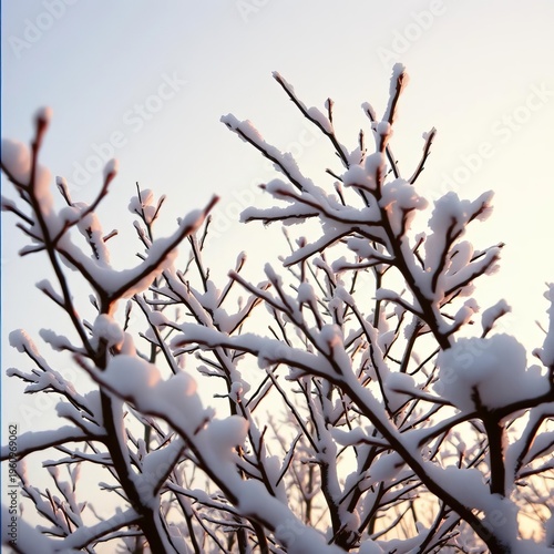 Snow-dusted branches reach towards a muted, hazy sky, grain whispers secrets of cold light,  faded, winter