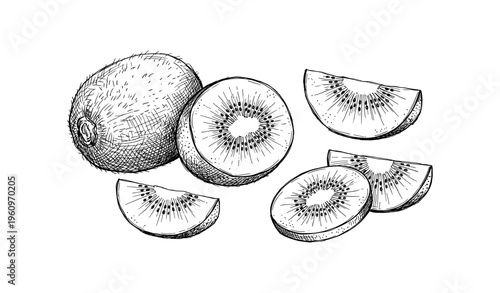 Hand-drawn kiwi fruit illustration with whole and sliced pieces on white background