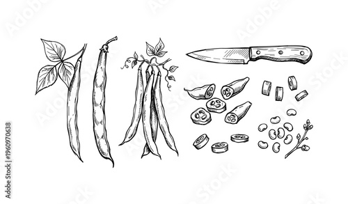Black and white okra and bean pods with knife illustration
