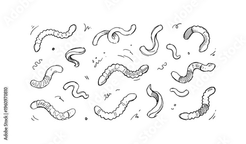 Hand-drawn worms doodle collection with varied shapes and patterns on white background