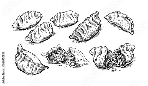 Hand-drawn sketches of dumplings with detailed cross-sections
