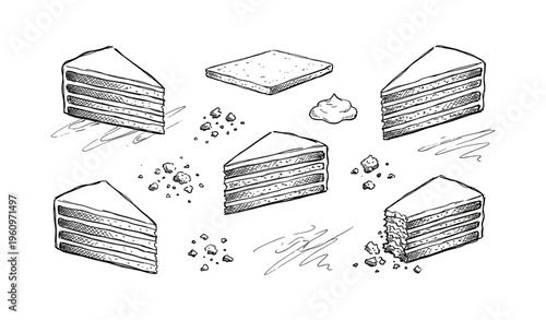 Illustrated cake and biscuit slices with crumbs in black and white sketch
