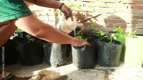 A person engages in a green activity by planting in pots at home to promote sustainability