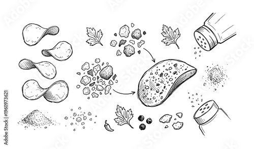 Hand-drawn potato chips process with salt and pepper sketches