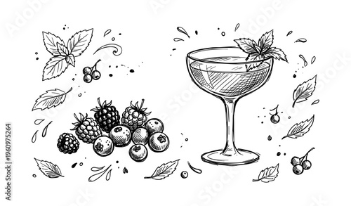 Hand-drawn cocktail glass and mixed berries with leaves in black and white