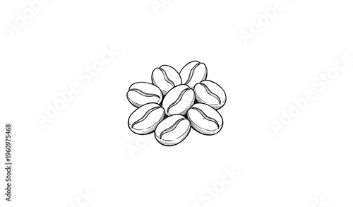Monochrome hand-drawn coffee beans sketch