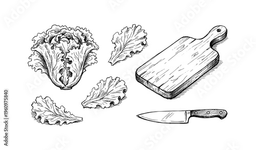 Hand-drawn lettuce with wooden cutting board and knife on white background