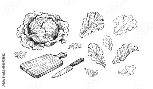 Black and white cabbage and lettuce sketch with chopping board and knife