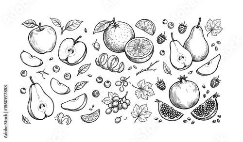 Hand-drawn fruits: apples, oranges, pears, pomegranates, berries, grapes in black and white