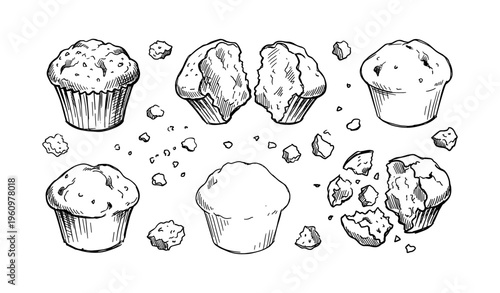 Hand-drawn muffins and crumbs on white background