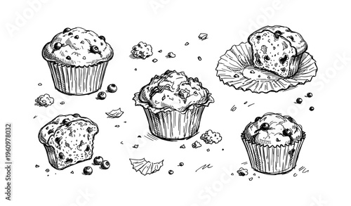Hand-drawn sketch of blueberry muffins with crumbs and paper wrappers
