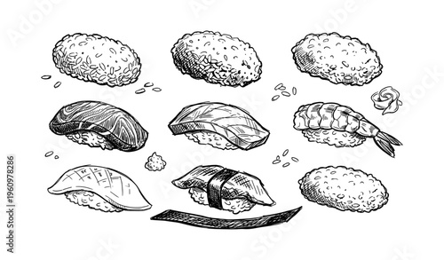 Variety of sushi sketches: nigiri, roll, fish, shrimp, wasabi, rice