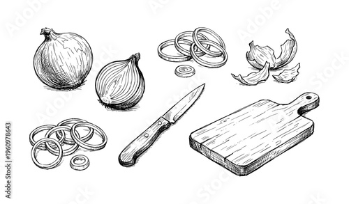 Hand-drawn onion varieties and kitchen utensils with cutting board