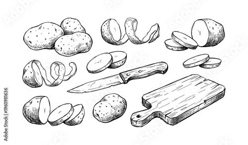 Hand-drawn potatoes and knife with cutting board illustration