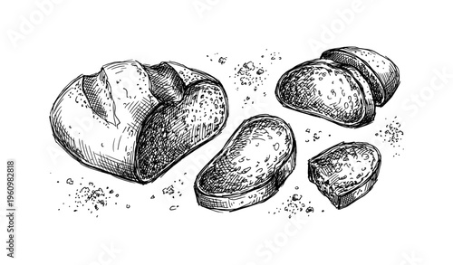 Hand-drawn rustic bread loaf and slices on white background