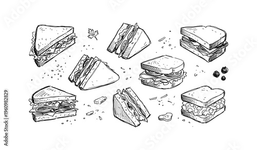 Hand-drawn sandwich collection: illustrated variety of classic sandwiches