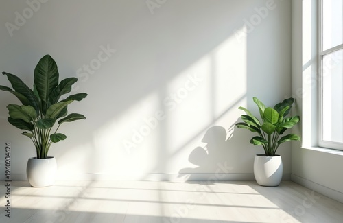 Empty bright room with window light. Two green plants in white pots stand near wall. Clean interior space for virtual meetings or presentations.