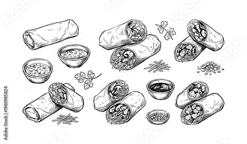 Variety of hand-drawn burritos and toppings with dipping sauces
