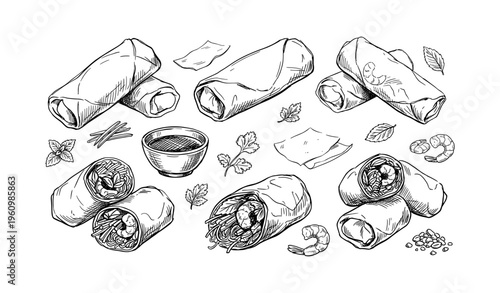 Hand-drawn asian spring rolls and dipping sauce with ingredients