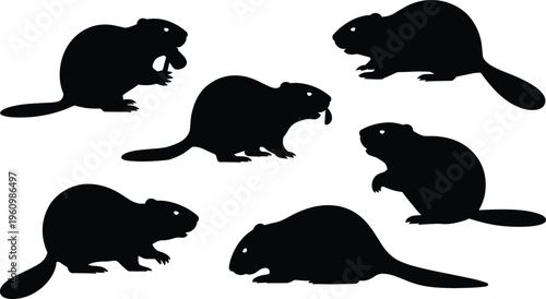 Six Black Silhouette Beaver Icons in Various Poses on a White Background animal mammal