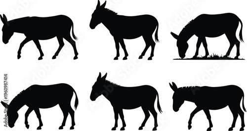 Six Black Silhouettes of Donkeys in Various Poses on a White Background Keywords: silhouette, donkey, animal, farm, livestock, mammal, creature, domestic, agriculture, rural, standing