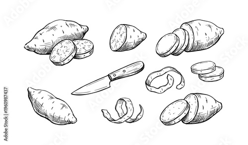 Hand-drawn sweet potatoes and knife illustration with slices and peels