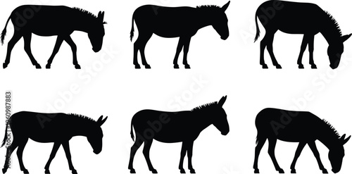 Six Black Silhouettes of Donkeys in Various Poses on a White Background Keywords: silhouette, donkey, animal, farm, livestock, mammal, creature, domestic, agriculture, rural, standing
