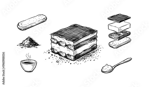 Hand-drawn tiramisu composition with coffee and ingredients on white background