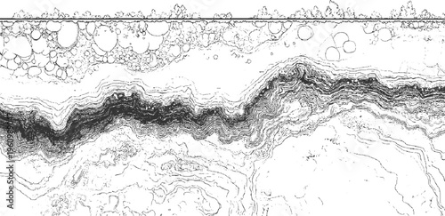 Topographic map contour lines depicting geological strata and organic cellular structures