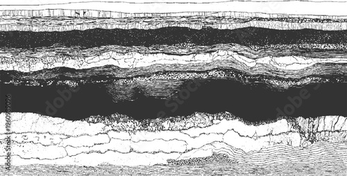 Detailed cross section of geological strata showing layers of rock and sediment with varying textures and patterns