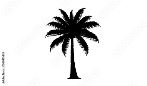 Palm tree silhouette vector illustration with tropical fronds isolated on white background minimal design