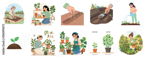 Vector of a woman carrying out the stages of the farming process. Vector, flat, illustration, minimalist, icon, icon set