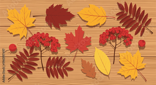 Collection of autumn leaves and berries on a wooden surface