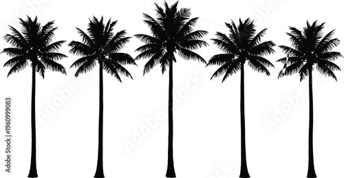 Tropical palm tree silhouettes set isolated on white background, detailed coconut palm collection for beach landscape, summer travel design and exotic nature illustration