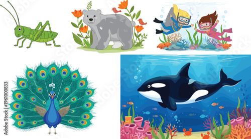 Colorful animal and underwater collection with bear, peacock, orca and kids diving scene, playful vector illustration for children books, nature and ocean themed designs