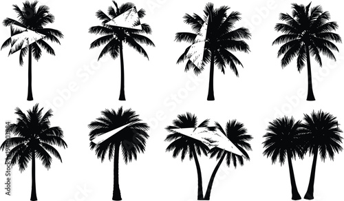 Palm tree silhouettes collection with grunge texture, tropical coconut trees isolated black vector set for summer, beach landscape, travel design, and nature illustration