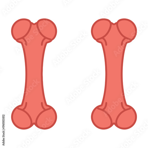 Two pink dog bones on white background cartoon style pet treats chew toys