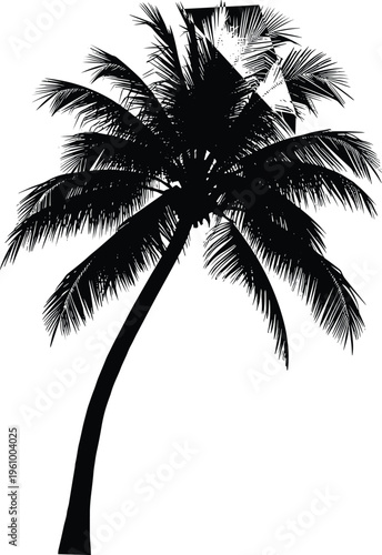 Single palm tree silhouette with curved trunk, tropical coconut tree black vector isolated for beach design, summer travel, and island nature illustration