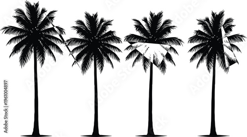 Tropical palm tree silhouettes collection isolated on white background, detailed coconut palm trees set for beach landscape, summer travel and exotic nature design