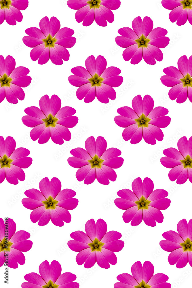 Fototapeta premium Japanese Primrose Seamless Flower Pattern