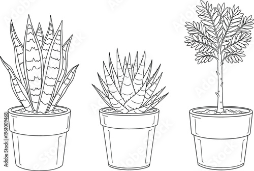 Potted plants coloring page set, outline illustration of indoor houseplants for kids printable coloring book