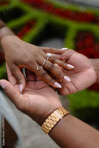 Intertwined Hands in Nature's Embrace: Symbol of Love and Connection